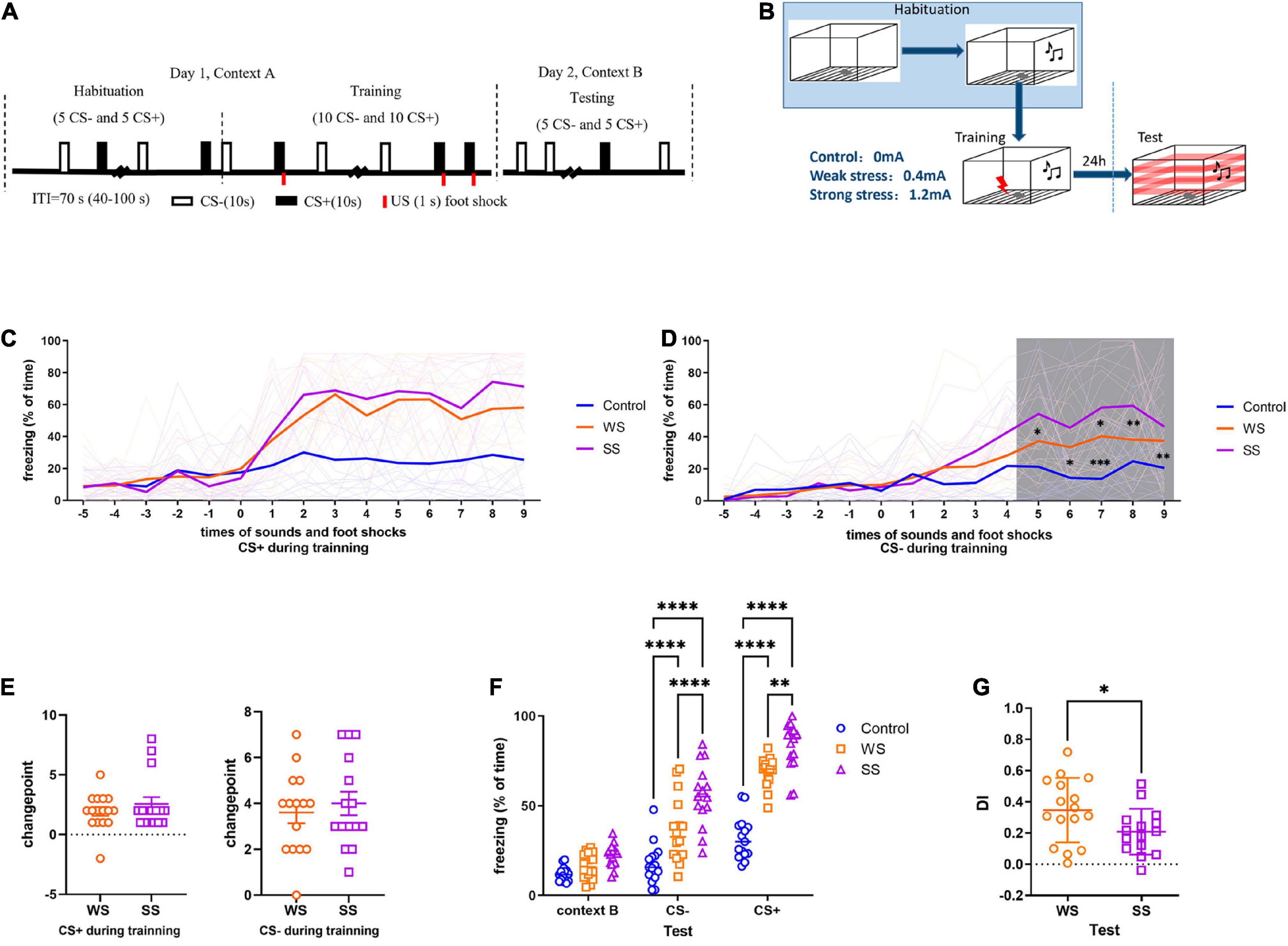 mGluR5 in amygdala modulates fear memory generalization